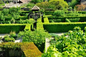 vue-sur-le-labyrinthe