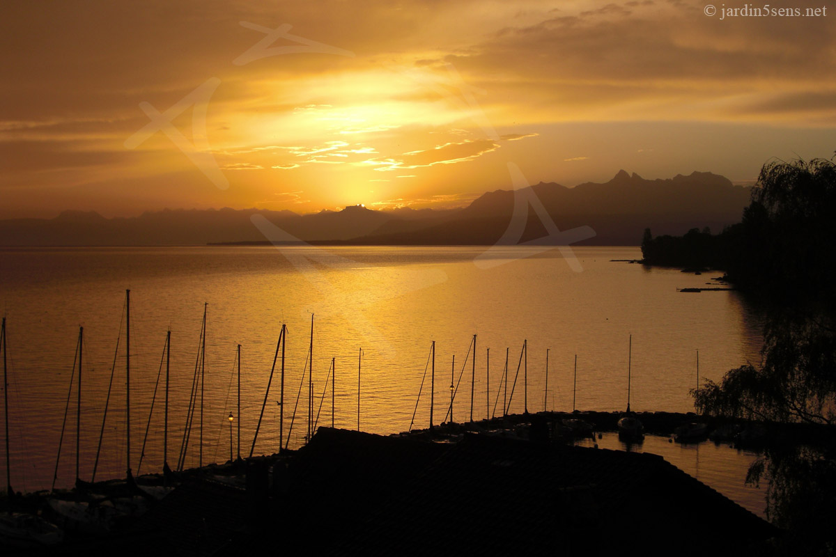 Lever de soleil sur le Lac Léman, depuis Yvoire. | Le Labyrinthe, Jardin des Cinq Sens. Haute-Savoie (74). France.