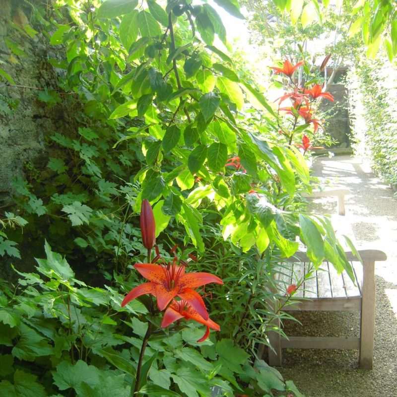 A Yvoire, dans les allées du Jardin des Cinq Sens.