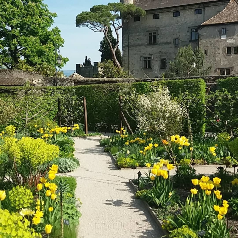 Notes vivifiantes du Toucher - Jardin des Cinq Sens - Yvoire