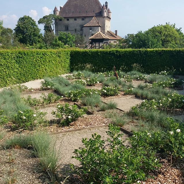 Roseraie du Jardin des Cinq Sens - Yvoire