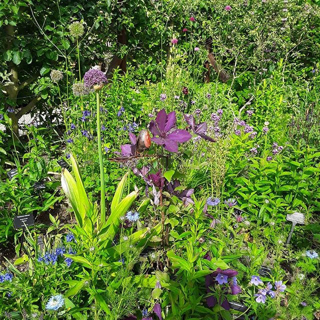 Magnifique Jardin de la Vue dans le Jardin des Cinq Sens - Yvoire