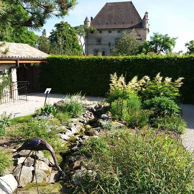 Le héron dans la prairie alpine du Jardin des Cinq Sens d'Yvoire