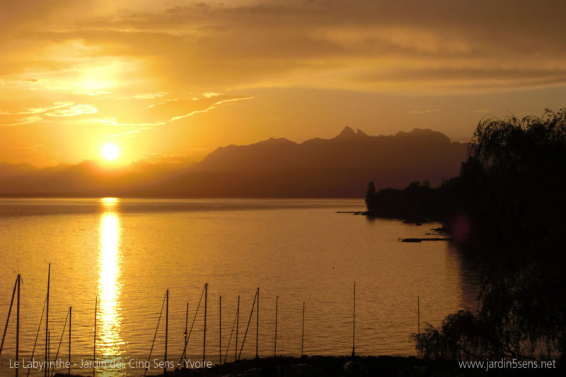 Lac Léman - lever de soleil derrière les Alpes