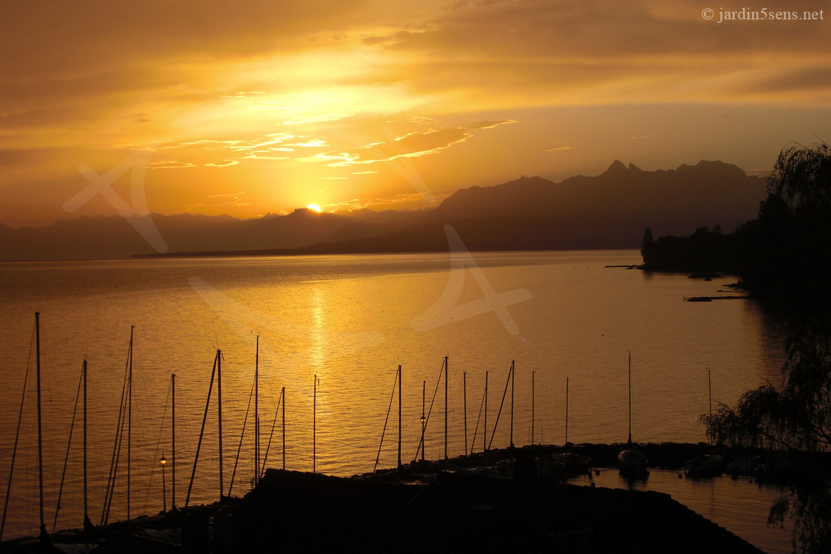 Lever de soleil sur le Lac Léman, depuis Yvoire. | Le Labyrinthe, Jardin des Cinq Sens. Haute-Savoie (74). France.