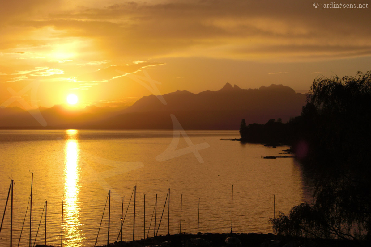 Lever de soleil sur le Lac Léman, depuis Yvoire. | Le Labyrinthe, Jardin des Cinq Sens. Haute-Savoie (74). France.