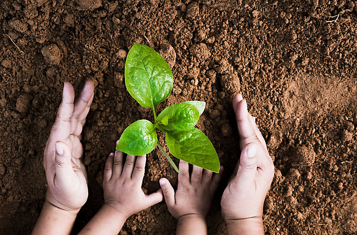 Partenaire avec le CRBA pour la protection de la biodiversité et la sauvegarde des semences anciennes