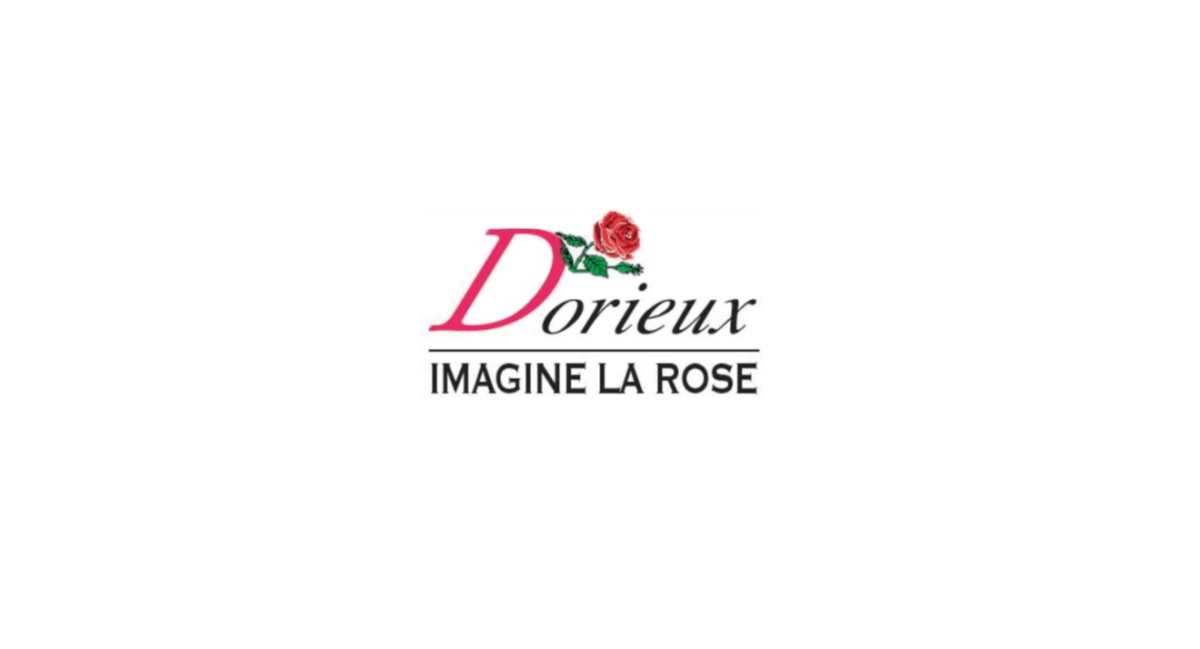 Zoom sur notre partenaire, le rosiériste Dorieux à l'origine de la création de la nouvelle rose du jardin. 
